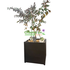 Chậu Composite Vuông BAOBINH - CT2089