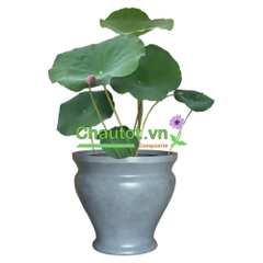 Chậu Composite Tròn BAOBINH - CT2073