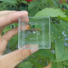 Ly Nhựa Vuông PS 70ml Mã 4248 Đựng Bánh Lạnh Mousse Tiramisu Panna Cotta