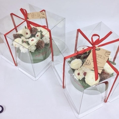 Hộp Đựng Bánh Kem Mica Nhựa Trong Size 22 [VN]