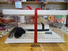 Hộp Đựng Bánh Kem Trong Suốt Size 40cm