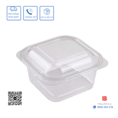 Hộp Nhựa Đựng Bánh Vuông mã W110