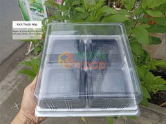 Hộp Nhựa Đựng Bánh Vuông HH121
