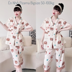 Bộ Lửng Lụa Nhật DB01