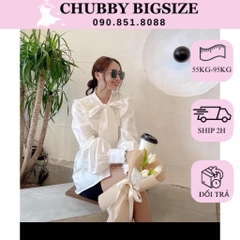 Áo sơ mi Trắng Phối Nơ Bigsize Công Sở