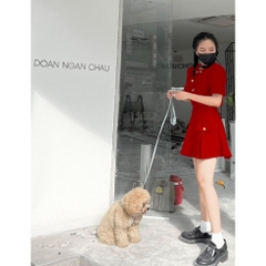 Set bộ váy quần dạo phố bigsize 1693