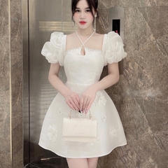 Đầm Tapta Thiết Kế Bigsize Cột Cổ Đính Đá