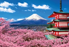 NHẬT BẢN 6 NGÀY 5 ĐÊM - OSAKA - TOKYO - PHÚ SỸ - KYOTO