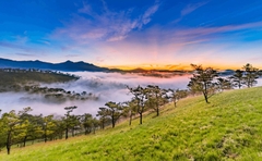 COMBO ĐÀ LẠT 3 NGÀY 2 ĐÊM