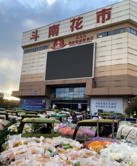 HÀ KHẨU - CÔN MINH - NÚI TUYẾT KIỆU TỬ - 4 NGÀY 3 ĐÊM