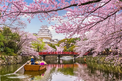 NHẬT BẢN 6 NGÀY 5 ĐÊM - OSAKA - TOKYO - PHÚ SỸ - KYOTO