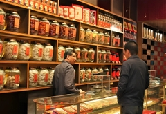 HÀ NỘI - MÓNG CÁI - ĐÔNG HƯNG  (3N2Đ)