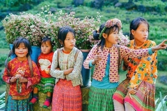 TOUR  HÀ NỘI - HÀ GIANG – MIỀN ĐÁ NỞ HOA - SÔNG NHO QUẾ - 3 NGÀY 2 ĐÊM