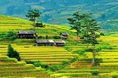 TOUR MÙ CANG CHAI 2 NGÀY 1 ĐÊM - NGỦ HOMESTAY