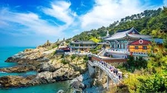 NHẬT BẢN 6 NGÀY 5 ĐÊM - OSAKA - TOKYO - PHÚ SỸ - KYOTO