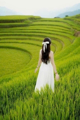 TOUR  HÀ NỘI - HÀ GIANG – MIỀN ĐÁ NỞ HOA - SÔNG NHO QUẾ - 3 NGÀY 2 ĐÊM