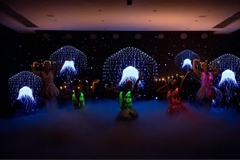 DU THUYỀN PARADISE DELIGHT 5 SAO - HẠ LONG 1 NGÀY