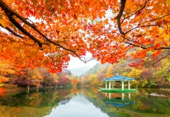 HÀ NỘI - SEOUL - LOTTE WORLD - TRƯỢT TUYẾT ELYSIAN - NAMSAN TOWER