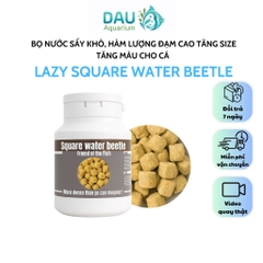 Bọ nước đông khô sấy lạnh Lazy Square water beetle thức ăn siêu đạm kích size cho cá cảnh cực tốt