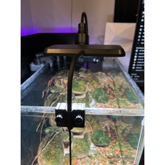 Đèn LED RGB 3 in 1 Deyao CF02 (13W) - Đỏ cá đỏ cây không đỏ nước, giúp màu cá màu cây rực rỡ hơn