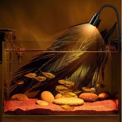 Đèn rọi mini chỉnh tiêu cự (3 chế độ màu)- Tuỳ chỉnh vùng sáng tuỳ ý, độ chiếu sáng sâu cho bể Biotope