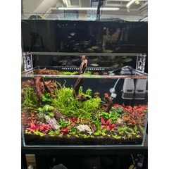 Đèn thuỷ sinh LEDSTAR AQ-S WRGB - Chỉnh App, đem đến trải nghiệm ánh sáng chân thực, giúp cây lên màu rực rỡ