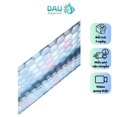 Đèn led LedStar AQ WRGB X series X60 quang phổ trồng cây bể thủy sinh cá tép