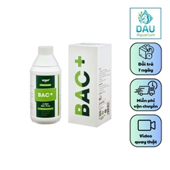 Vi sinh tiêu hóa KOIKA BAC+/VI SINH CHUYÊN TÉP KIỂNG V-ACTIVE PLUS/ PH- Giảm PH Bể Cá