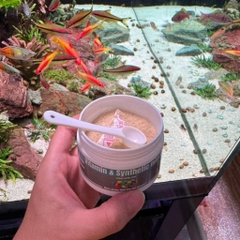 Combo Cá Khoẻ Cá Đẹp - Men tiêu hoá kết hợp Vitamin, khoáng chất tổng hợp giúp cá tiêu hoá, bổ sung dinh dưỡng toàn diện