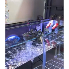 Kẹp ống thay nước thông minh - Tránh bị xối nền, nước xả ra mạnh làm cá stress