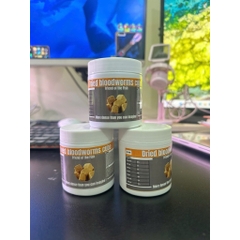 Trùng huyết sấy lạnh Lazy Worm Cube(50g)-Giữ nguyên hàm lượng dinh dưỡng từ giun tươi,giàu đạm giúp cá tăng size,lên màu