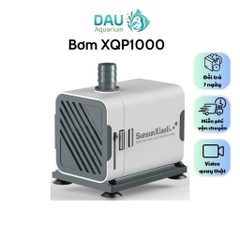 Máy bơm nước bể cá XQP 500-1000-1500-2500