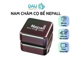 Nam châm cọ bể Nepall