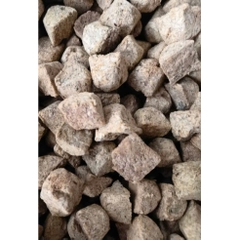 Bọ nước đông khô sấy lạnh Lazy Square water beetle thức ăn siêu đạm kích size cho cá cảnh cực tốt