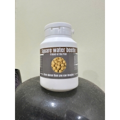 Bọ nước đông khô sấy lạnh Lazy Square water beetle thức ăn siêu đạm kích size cho cá cảnh cực tốt