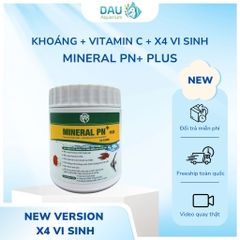 Khoáng Bột PN Mineral Plus X4 Vi Sinh, kèm Vitamin C