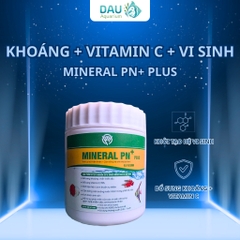Khoáng Bột PN Mineral Plus X4 Vi Sinh, kèm Vitamin C