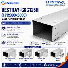 BESTRAY-CKC125H / Máng Cáp Kín Bestray 125×300×3000mm