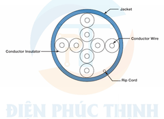 NUC5C04BU-CE / Dây cáp đồng Panduit NetKey™ - Cat 5e - 24 AWG- U/UTP - CM NUC5C04BU-CE