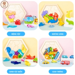 Bảng Lục Giác Gỗ Ghép Nổi Hình Logic Nhiều Chủ Đề, Khủng Long, Xe Cộ, Động Vật, Rau Củ- POPIKIDS