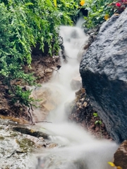 Mơ Hạ - Nơi giấc mơ từ núi rừng xuôi dòng hạ lưu