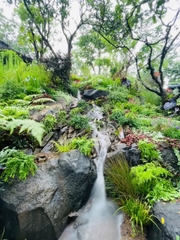 Mơ Hạ - Nơi giấc mơ từ núi rừng xuôi dòng hạ lưu