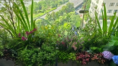 Chung cư Maldives Đảo Kim Cương (Quận 02)