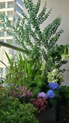 Chung cư Maldives Đảo Kim Cương (Quận 02)