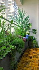 Chung cư Maldives Đảo Kim Cương (Quận 02)