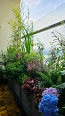 Chung cư Maldives Đảo Kim Cương (Quận 02)