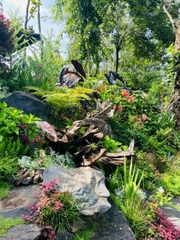 Vintage - Khu vườn mang khí chất Âu Châu