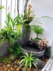 Cải tạo Ban công nhỏ Chung cư Terra Mia