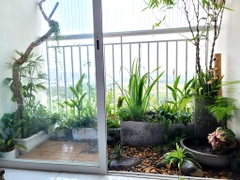 Cải tạo Ban công nhỏ Chung cư Terra Mia