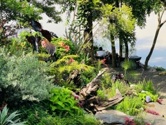 Vintage - Khu vườn mang khí chất Âu Châu